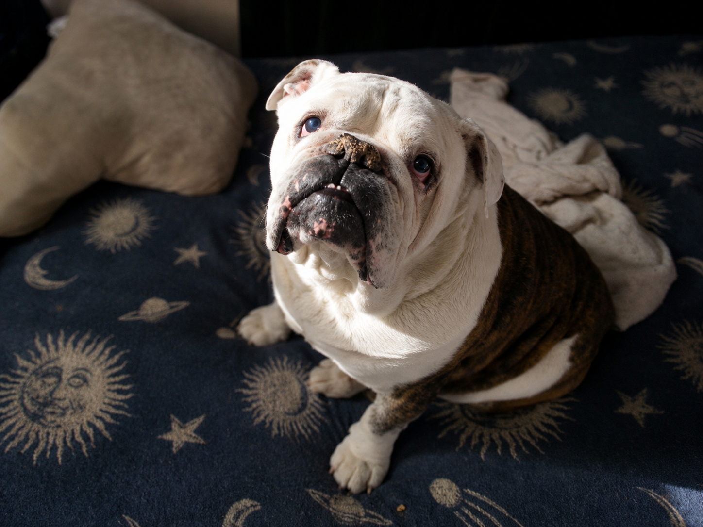 Samson